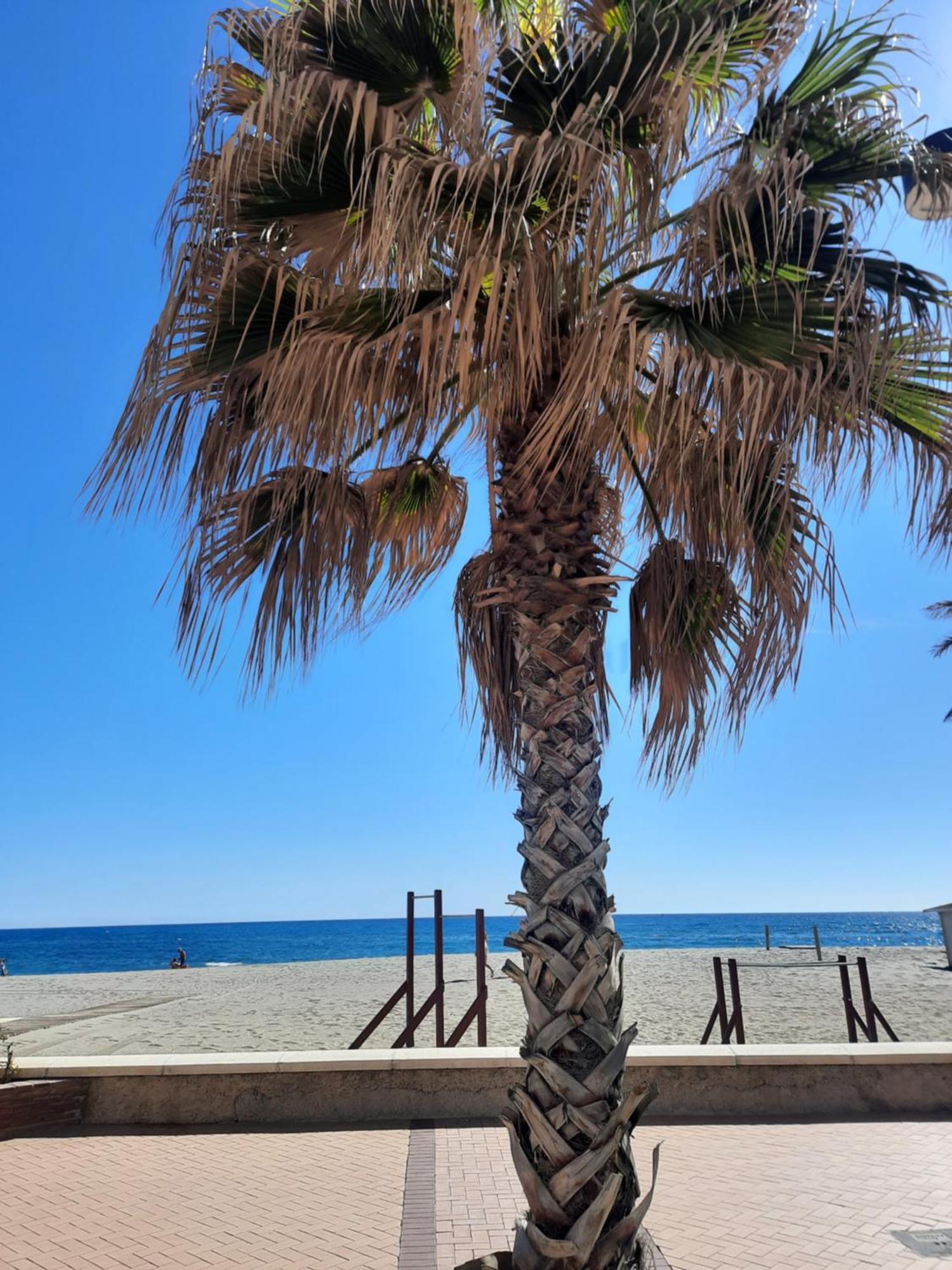 Fuengirola Apartment Carvajal Front Line Primera Linea Bagian luar foto